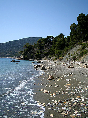 Vithisma beach på Alonissos.