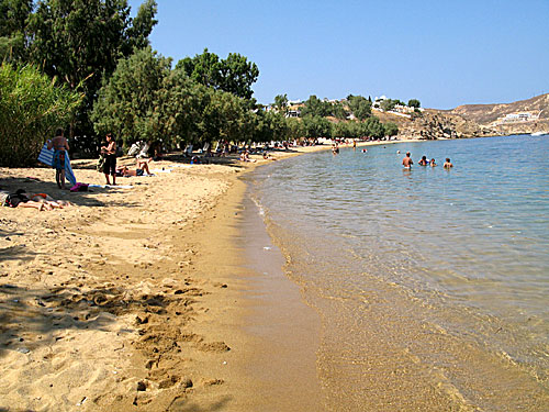 Livadaki beach på Serifos. 