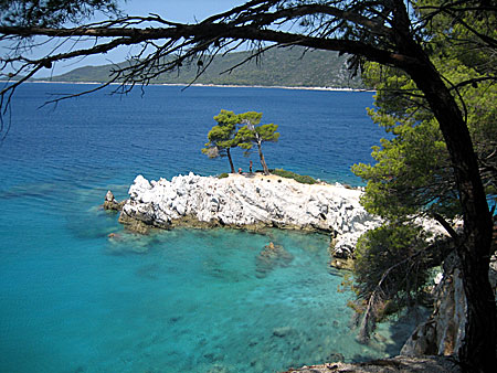 Skopelos. Amarantos ligger längs kustvägen mellan Stafilos-stranden och byn Agnontas