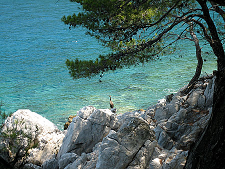 Skopelos. Amarantos.