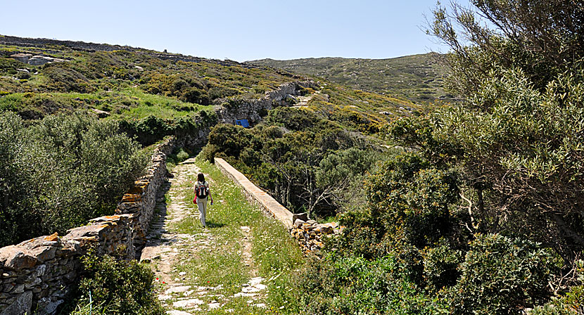 Vandring mellan Vroutsi och Arkesini på Amorgos.