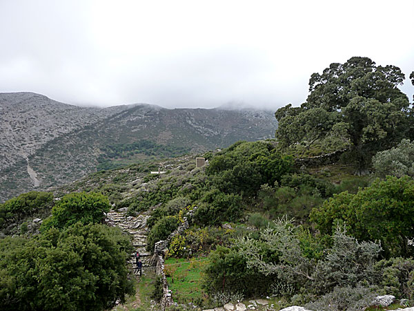 På vandring till Fotodotis. Naxos.