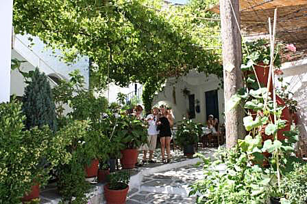 Matinas underbara restaurang som både mättar och svalkar. Naxos.