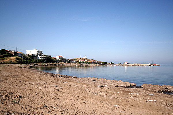 Gavathas - en liten idyll. Lesbos.