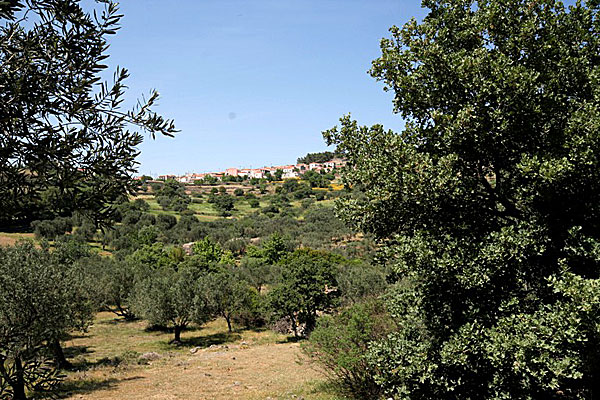 Landskap med utsikt mot Napi. Lesbos.