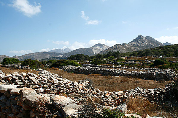 På väg till den ena av korusstatyerna. Naxos.