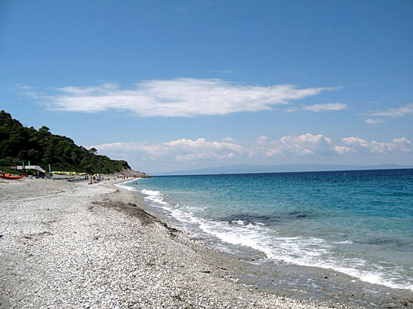 Milia beach. Skopelos.