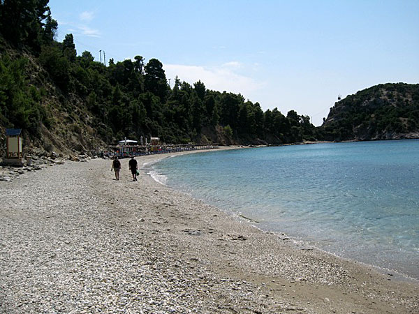 Stafilos beach. Skopelos.