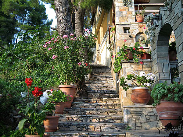 Trädgård i Patitiri på Alonissos.