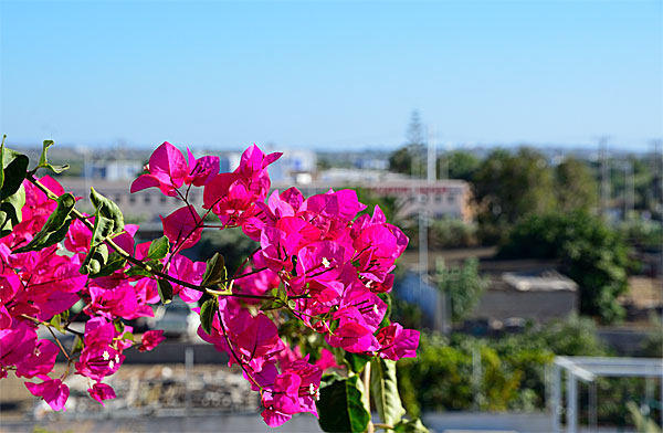Utsikt från balkongen. Naxos.